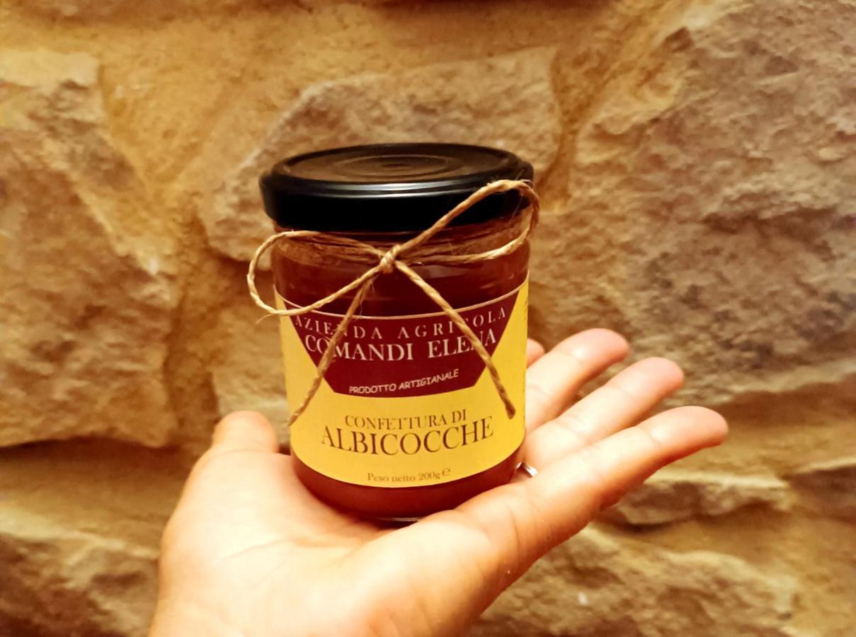Willa Pian Di Rocca Country Castiglione della Pescaia Zewnętrze zdjęcie